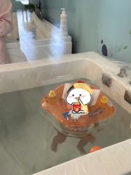 -沪壹健康国际母婴月子中心(360复旦奥医一妇婴东院店)