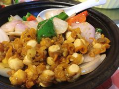 啫啫元贝-龙桥私厨·姜花菊花过桥鱼·顺德菜(容桂店)