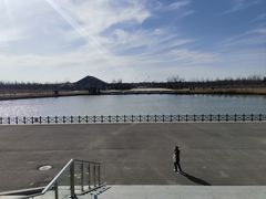 -盐城丹顶鹤湿地生态旅游区