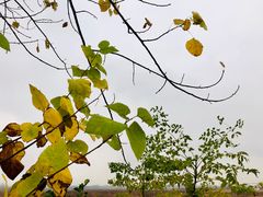 -南京奥林匹克体育中心-体育馆