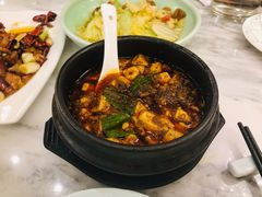 金牌麻辣豆腐-陈麻婆豆腐总店