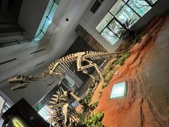 -自贡恐龙博物馆