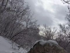 -雪谷