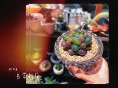 -瑞虹新天地月亮湾