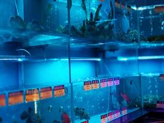 -协成海鲜火锅(海洋花园店)