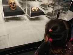 -北京周口店北京人遗址博物馆