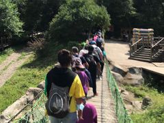 -帽儿山风景区