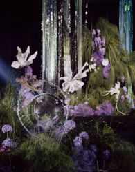 -华侨城洲际大酒店·宴会厅