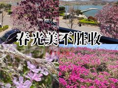 -松月湖大酒店