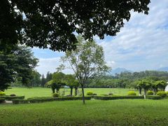 -福建鲤鱼洲酒店