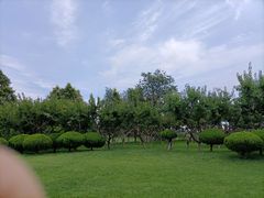 -塘沽森林公园