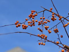 -泡泡玛特POPMART(蓝色港湾店)