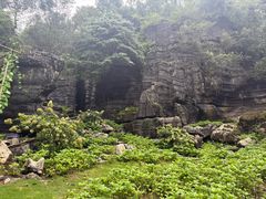 -梭布垭石林景区