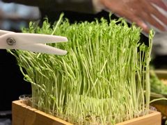 现摘小豆芽-捞王锅物料理(温州万象城店)