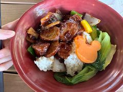 -Tangled Tree Tavern 老藤树食栈