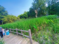 -成都市活水公园