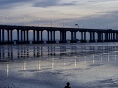 -宝安西湾红树林湿地公园