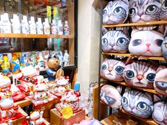 -猫咪博物馆(顶澳仔猫街店)