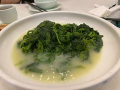 -五谷芳乳鸽王(海景店)