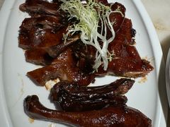 -佬肥猫(国华广场店)
