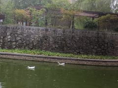 -西安市长乐公园