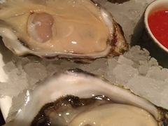 -Oyster Talks 四度蚝法餐厅