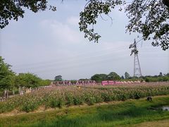 -盈香心动乐园