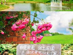 -沉浸北京·团建旅行·密室剧本杀·年会会议轰趴拓展