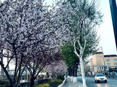 -武汉长江大桥