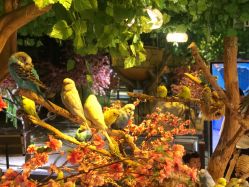 -酷嗒动物文化乐园(cutezoo西溪乐天城店)