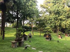 -盆景园(扬州大运河文化旅游度假区)