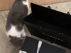 -CHANEL(恒隆广场店)