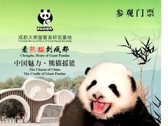门票-成都大熊猫繁育研究基地