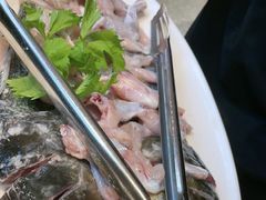 深水花鲢鱼-蜀滋香鲜鱼美蛙火锅(339店)