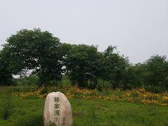 -盘龙城国家考古遗址公园