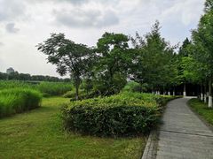 -长广溪湿地公园