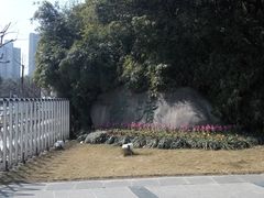 -苏州河梦清园环保主题公园