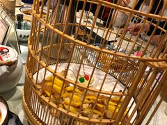 -花溪雨·森林餐厅(石基店)
