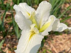 -广东中医药博物馆