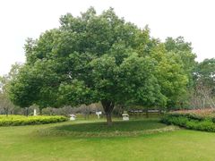 -昆山城市生态森林公园