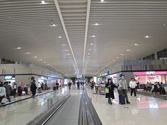 -青岛胶东国际机场