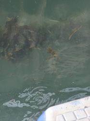 -星海水上乐园(星海广场圣亚店)