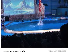 -华夏文旅海洋公园