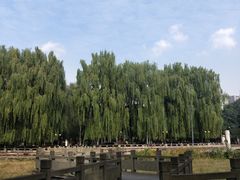 -温江公园