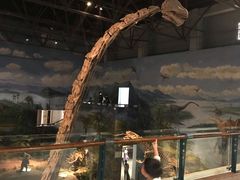 -自贡恐龙博物馆