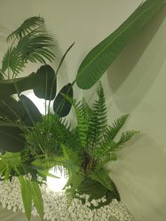 -HEYAN荷妍专业脱毛连锁机构