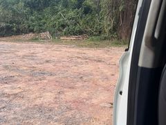 -西双版纳基诺山寨