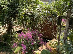 -国家植物园南园