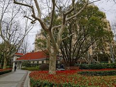 -徐家汇源景区-衡山公园