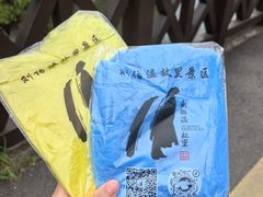 -刘伯温故里景区百丈漈